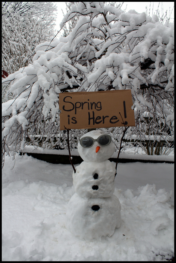 Where is Spring?