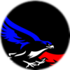 Small_blackhawks